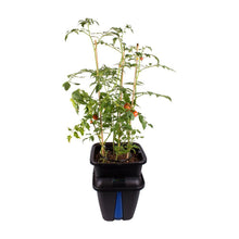 Load image into Gallery viewer, Gemini Recirculating Pot Grow Pots

